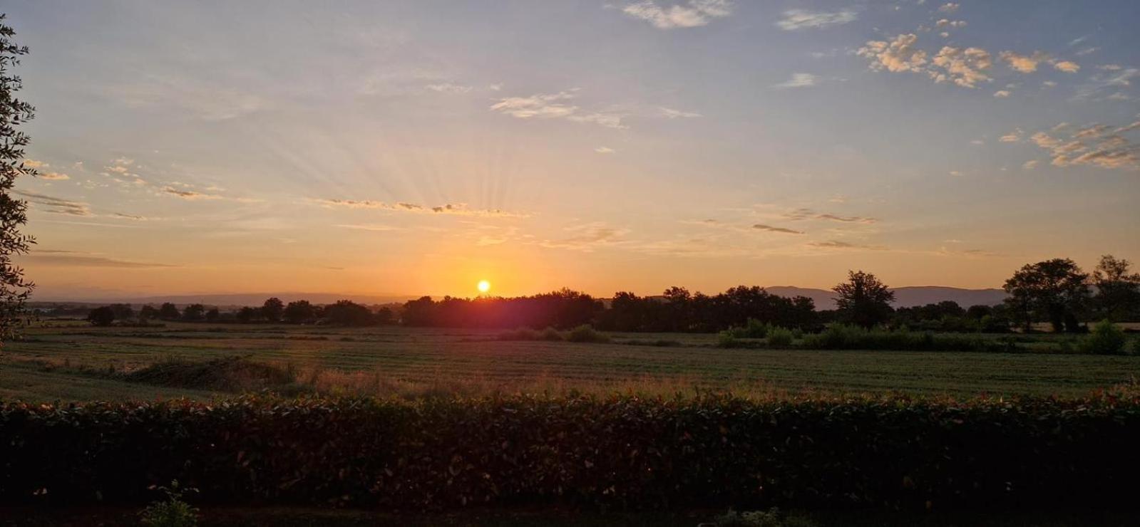 Agriturismo Il Canneto Casole dʼElsa Exteriör bild