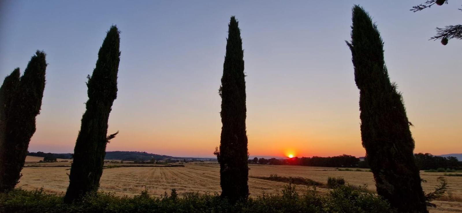 Agriturismo Il Canneto Casole dʼElsa Exteriör bild